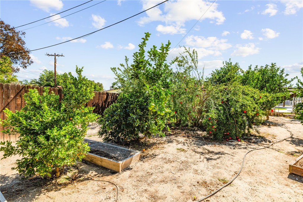 MLS #SW25234542 image #26