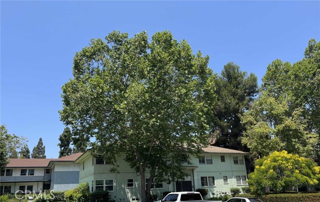 MLS #SW25234781 image #15