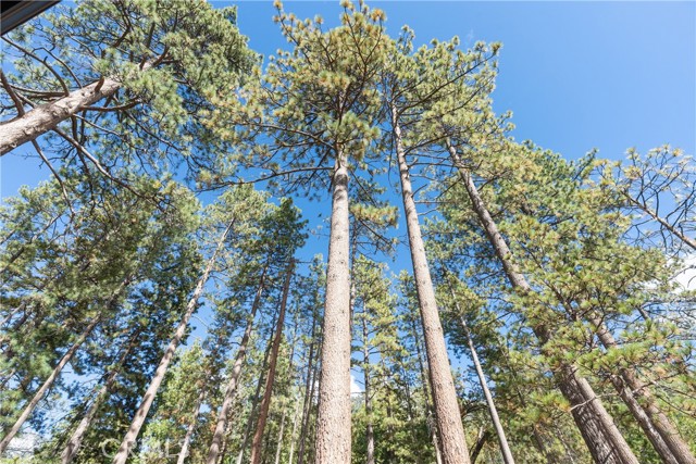 MLS #SW25234791 image #33