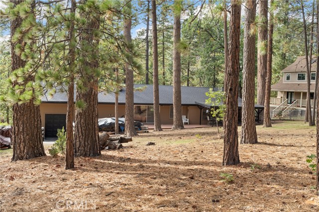 MLS #SW25234791 image #34