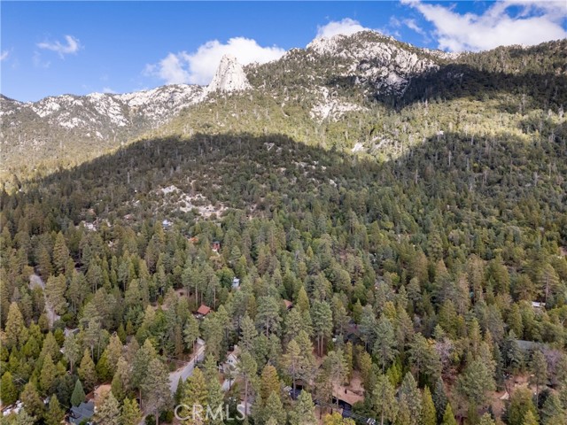 MLS #SW25234791 image #52