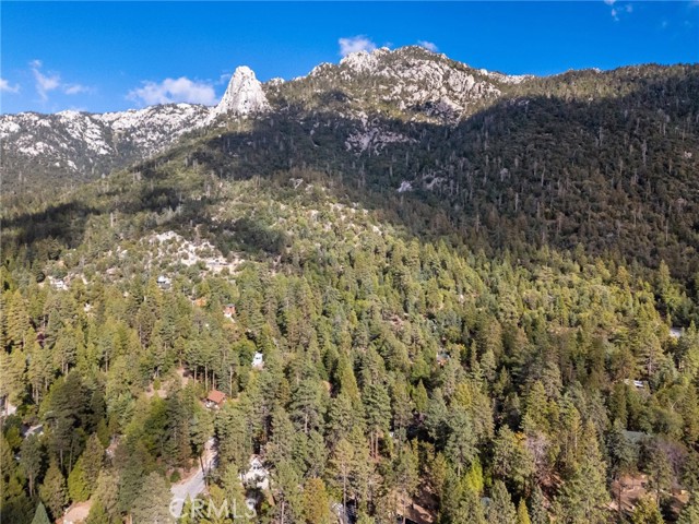 MLS #SW25234791 image #54