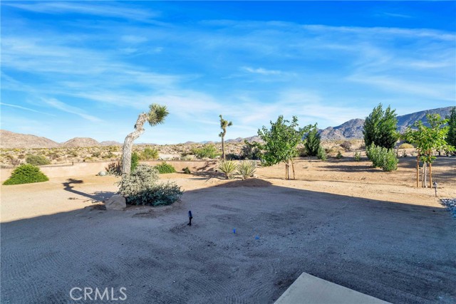 MLS #SW25234935 image #39