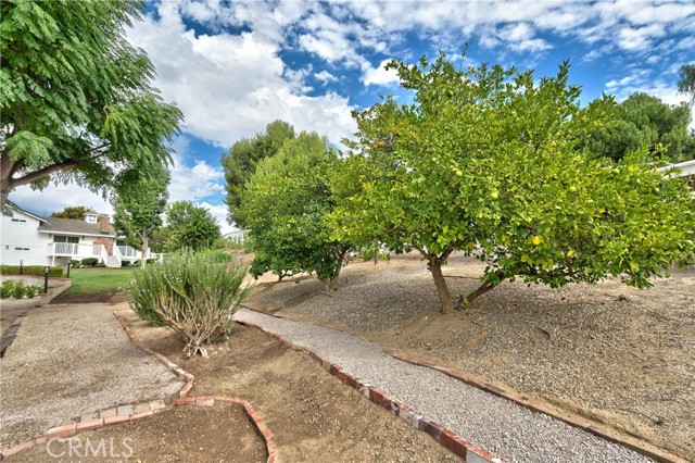 MLS #SW25237031 image #55