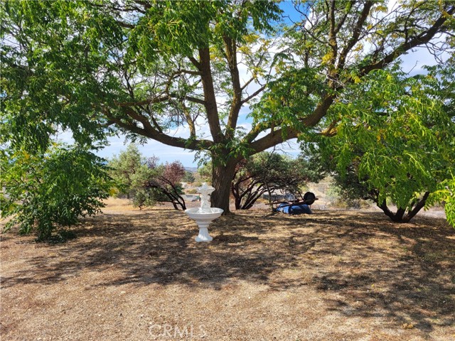 MLS #SW25237340 image #36