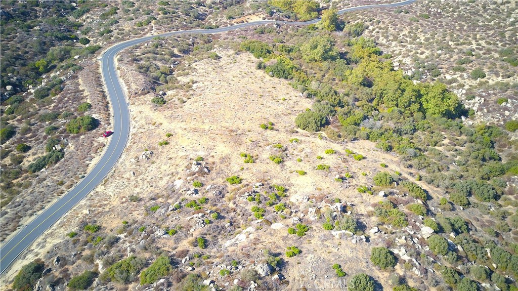 MLS #SW25237401 image #13