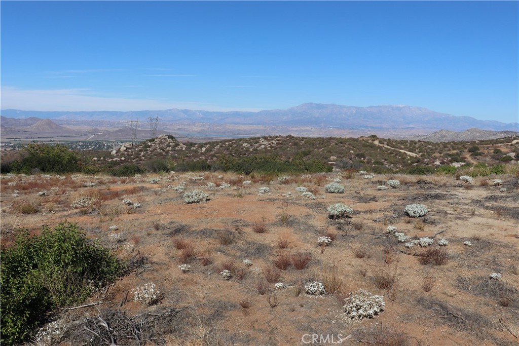 MLS #SW25237401 image #14