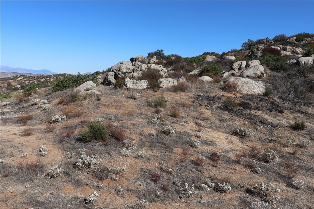 MLS #SW25237401 image #16