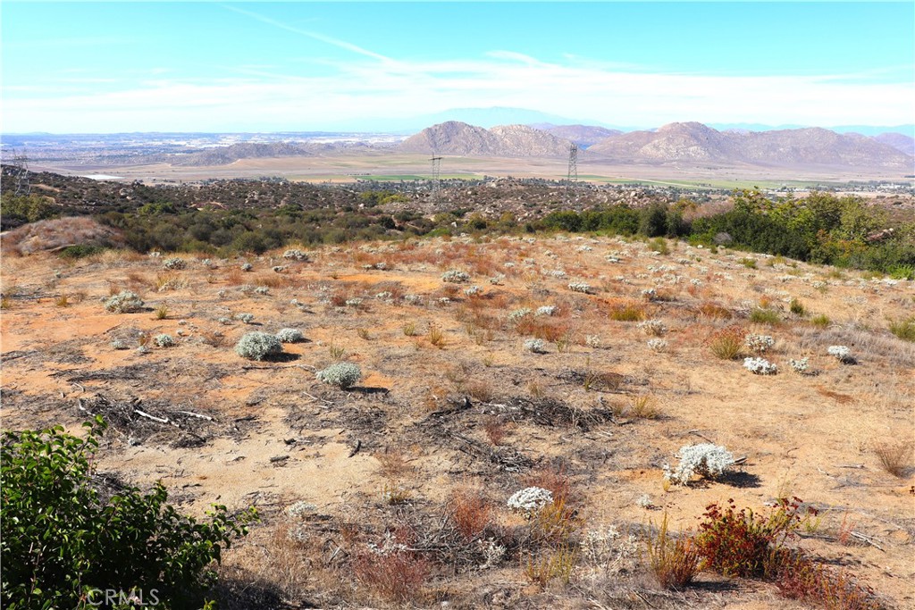 MLS #SW25237401 image #19