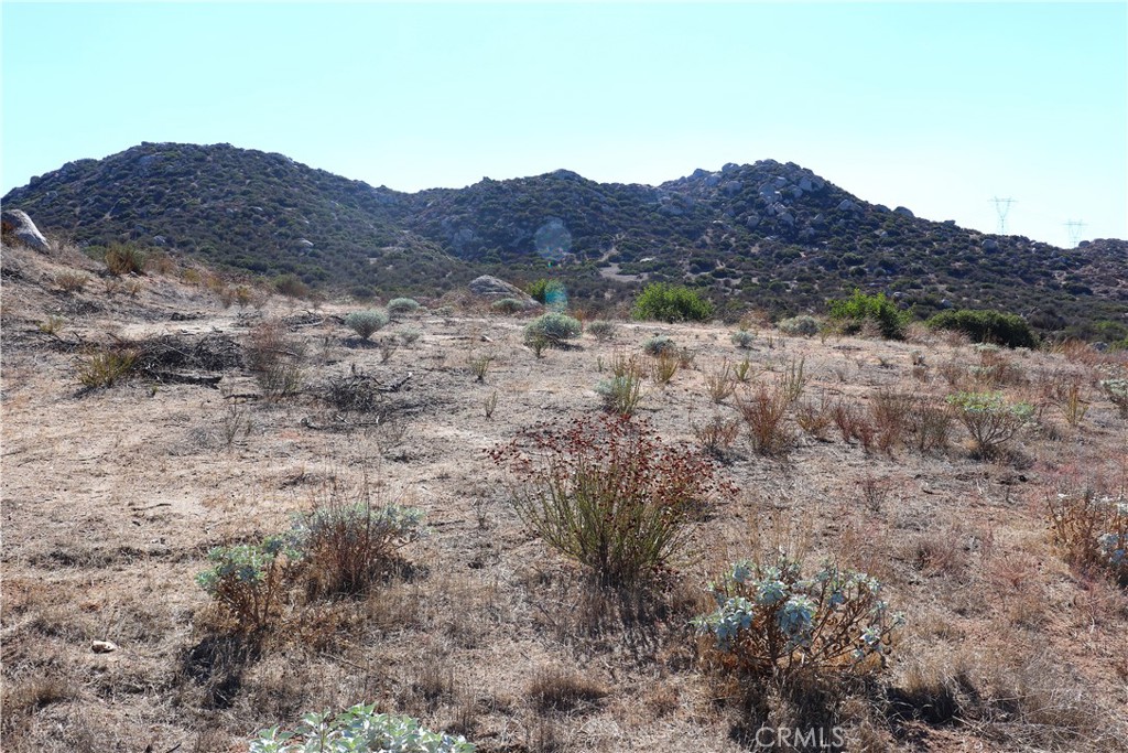 MLS #SW25237401 image #20