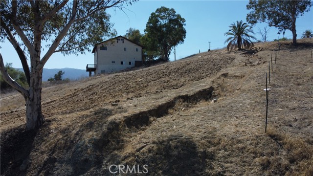 MLS #SW25237582 image #24