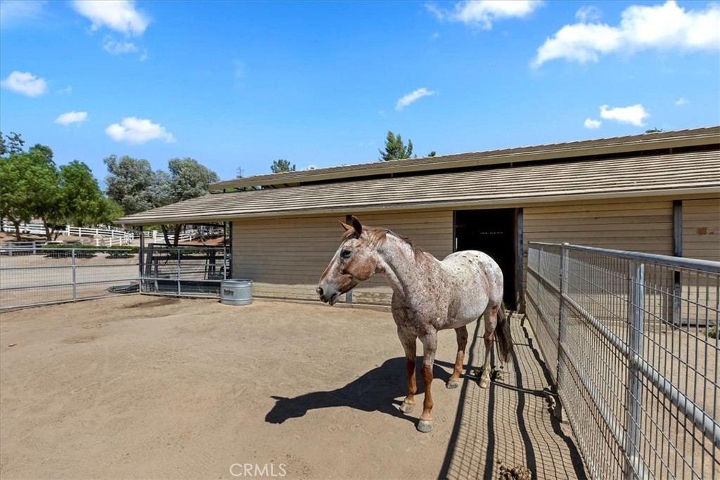 MLS #SW25237890 image #31