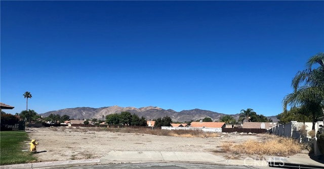 MLS #SW25237898 image #1