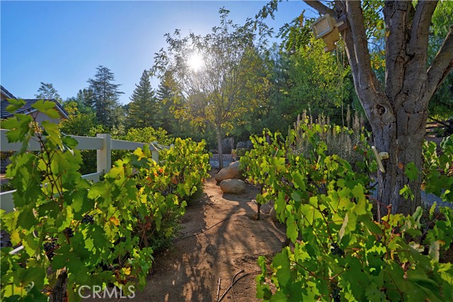 MLS #SW25237934 image #12