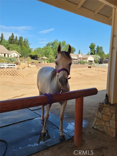 MLS #SW25237934 image #61