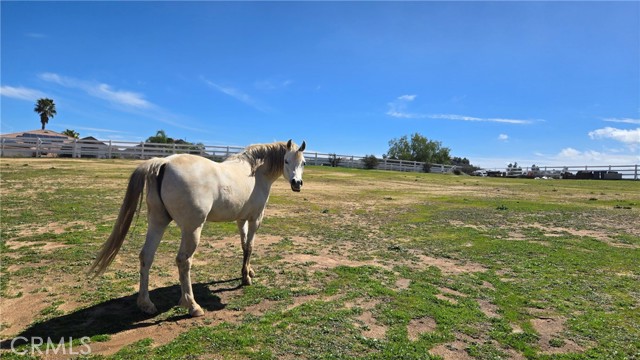 MLS #SW25237934 image #62