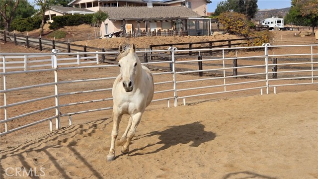 MLS #SW25237934 image #63