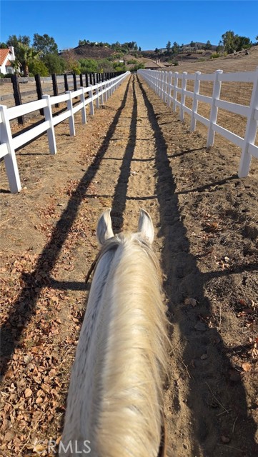 MLS #SW25237934 image #64