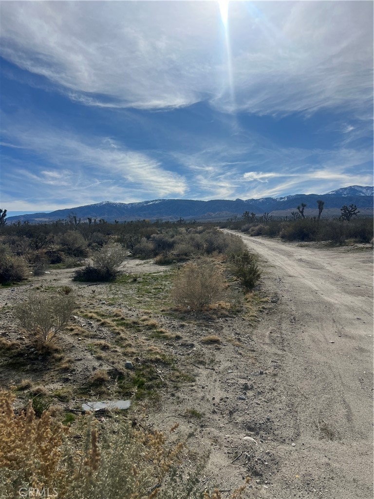 MLS #SW25238196 image #10