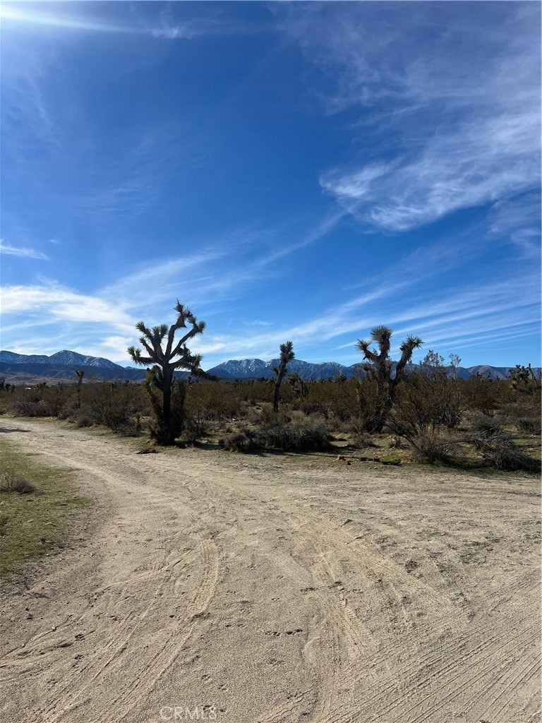 MLS #SW25238196 image #2