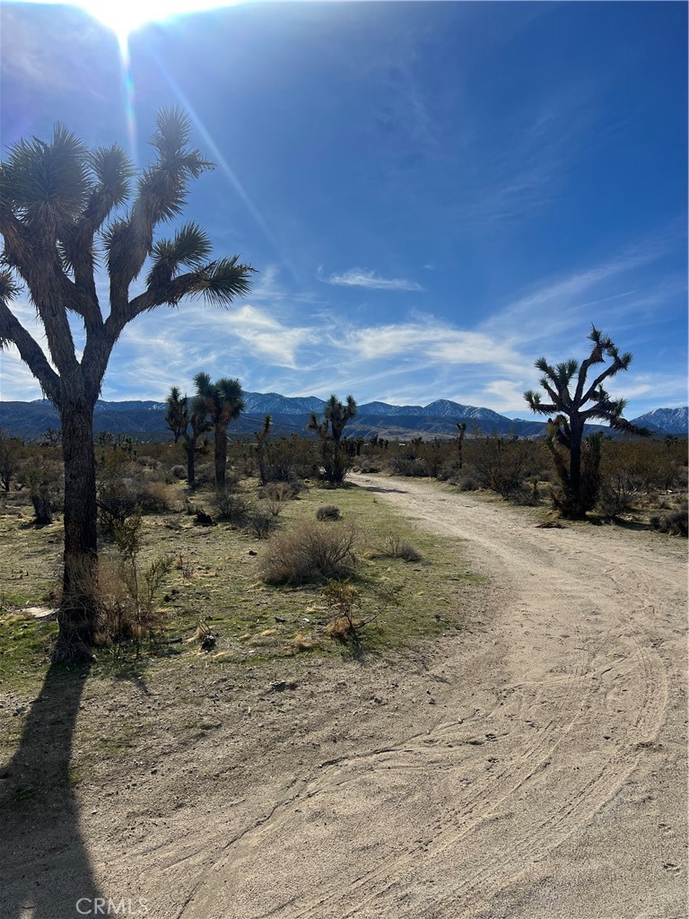 MLS #SW25238196 image #3