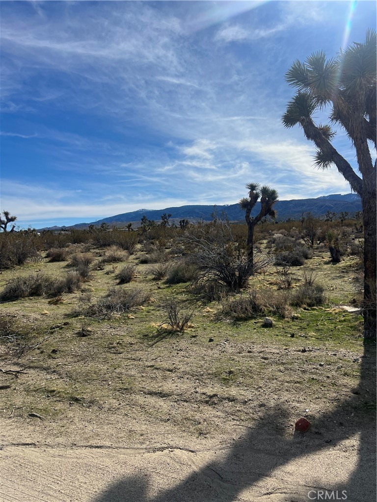 MLS #SW25238196 image #5