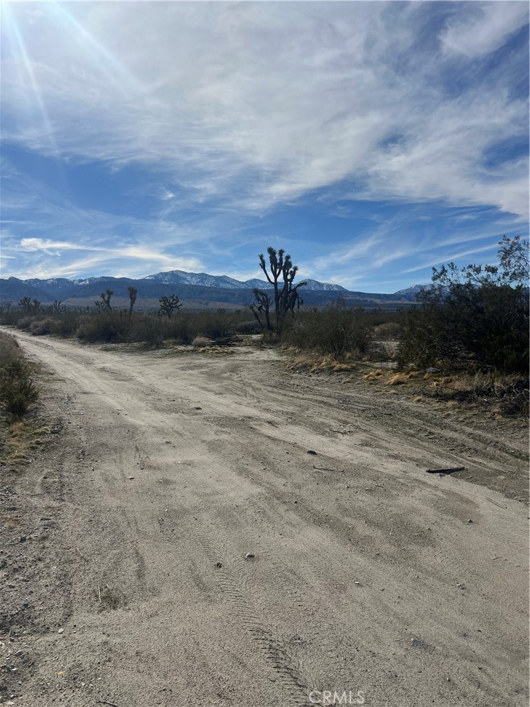 MLS #SW25238196 image #8