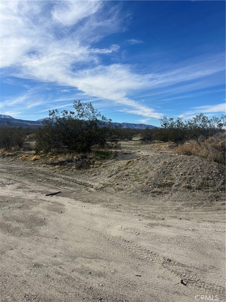 MLS #SW25238196 image #9