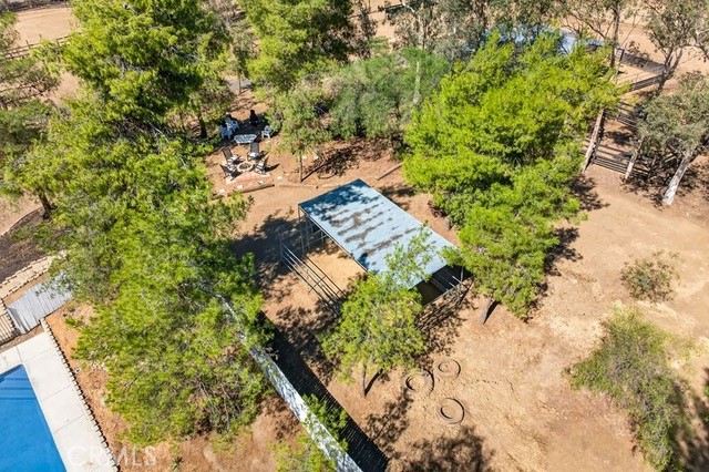 MLS #SW25240100 image #13