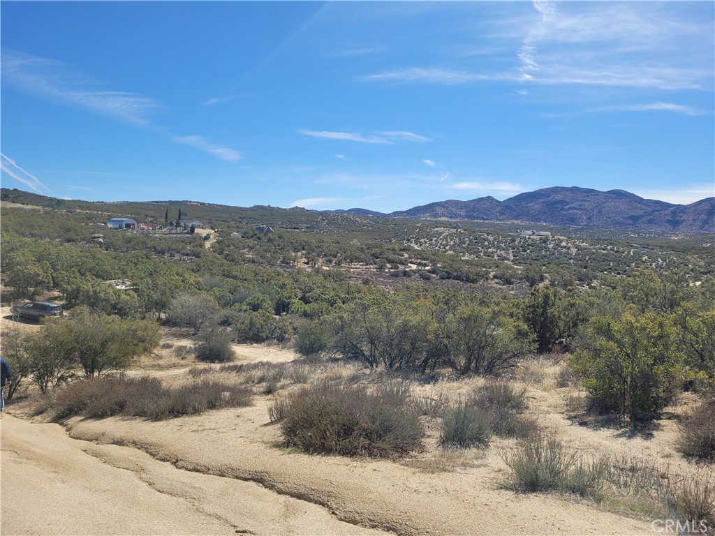 MLS #SW25240868 image #10