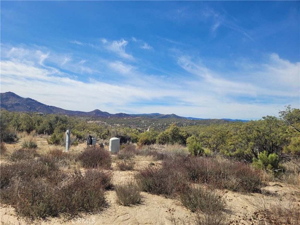 MLS #SW25240868 image #12