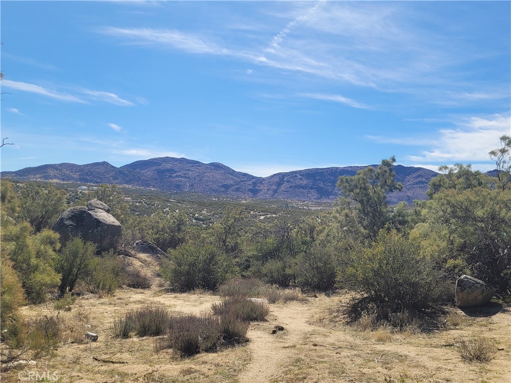 MLS #SW25240868 image #2