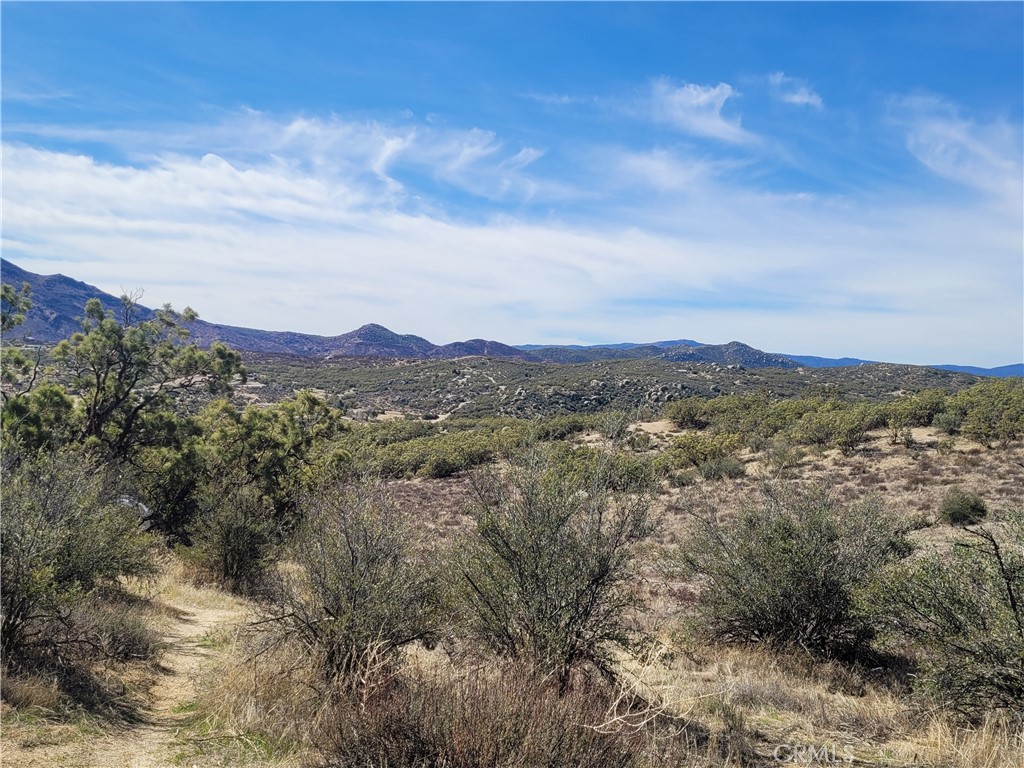 MLS #SW25240868 image #3