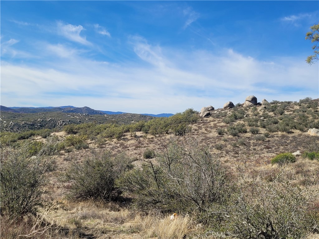 MLS #SW25240868 image #4