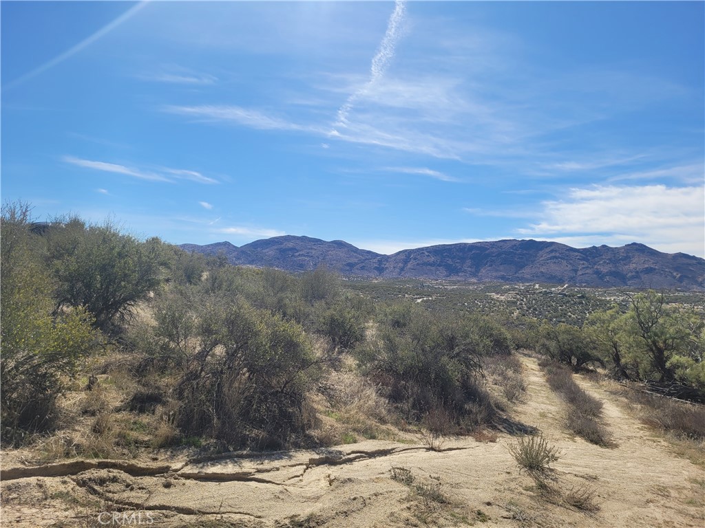 MLS #SW25240868 image #5