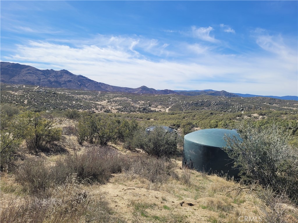 MLS #SW25240868 image #6