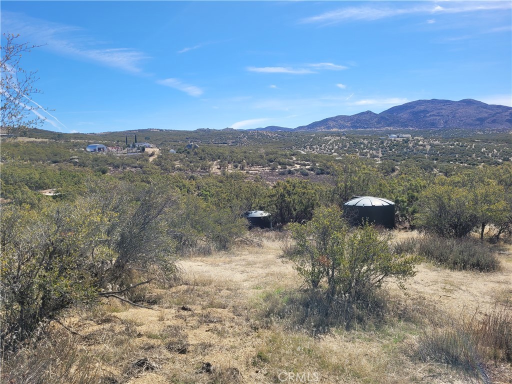 MLS #SW25240868 image #7