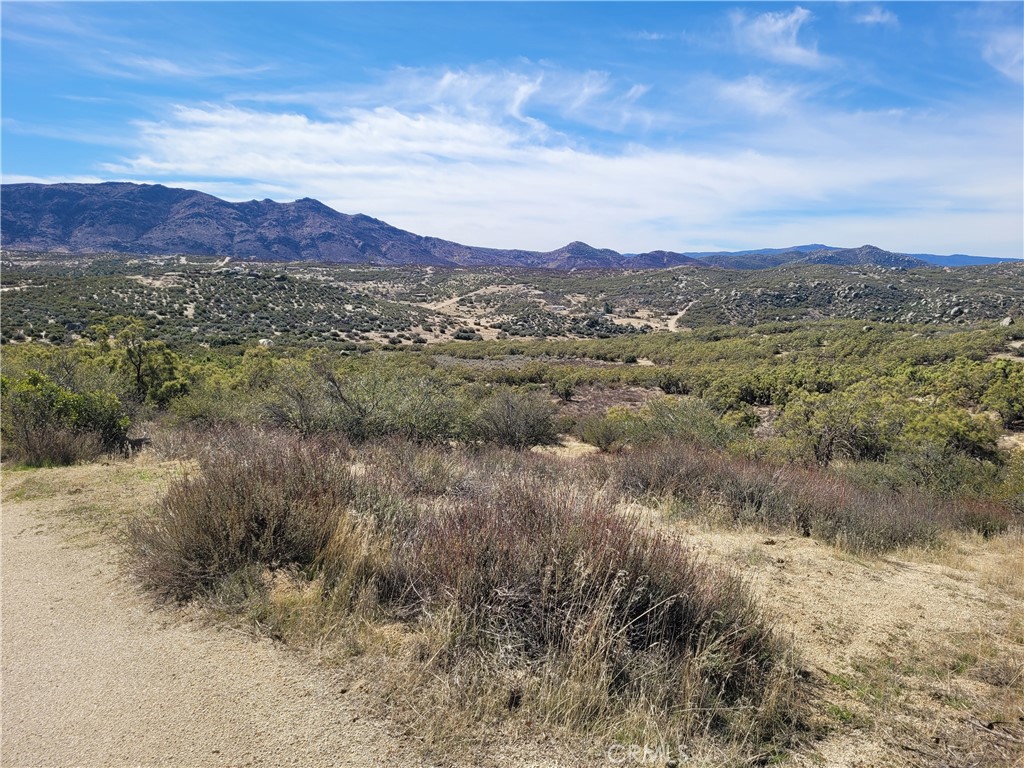 MLS #SW25240868 image #8