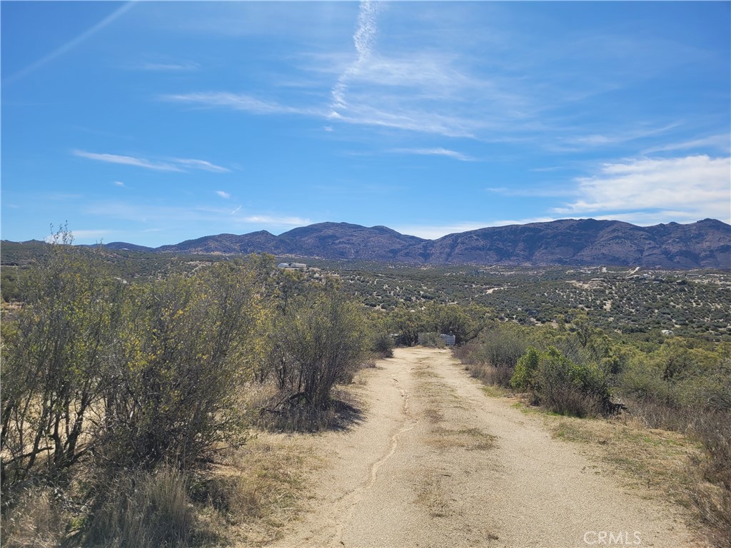 MLS #SW25240868 image #9