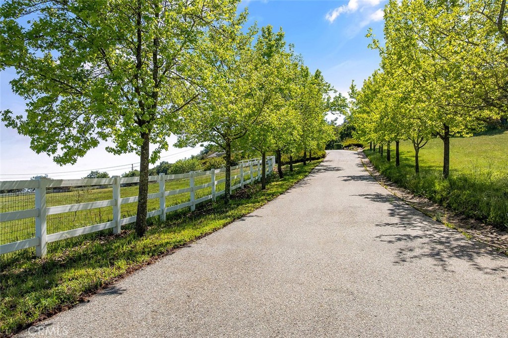 MLS #SW25241164 image #5