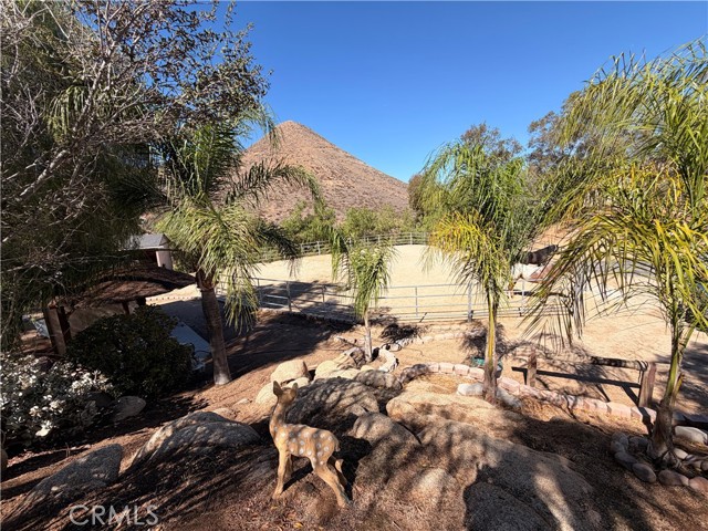 MLS #SW25241471 image #38