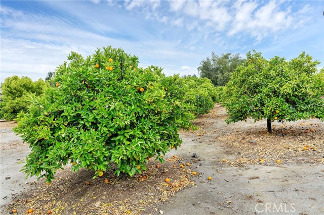 MLS #SW25241533 image #25