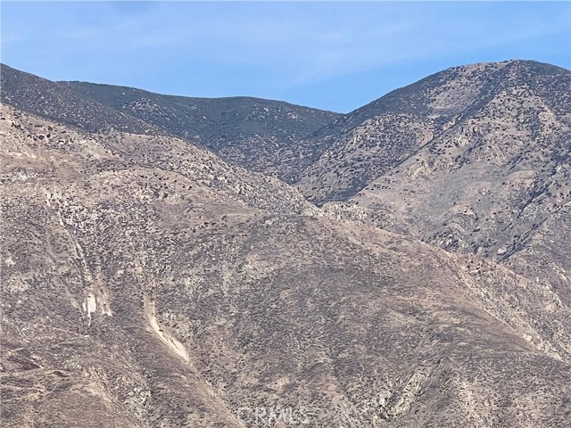 MLS #SW25241610 image #29