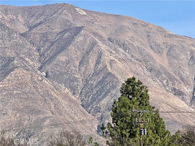 MLS #SW25241610 image #31