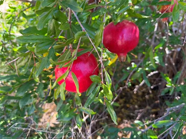 MLS #SW25242724 image #3