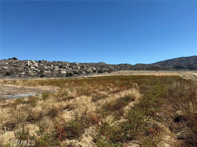 MLS #SW25242724 image #5