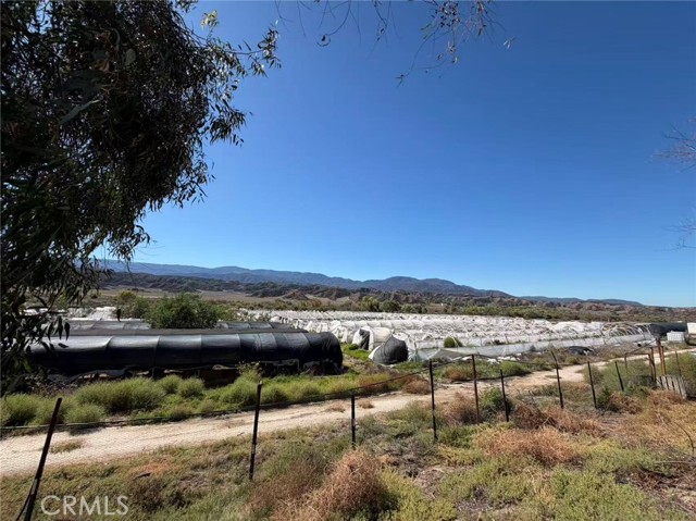 MLS #SW25242724 image #6