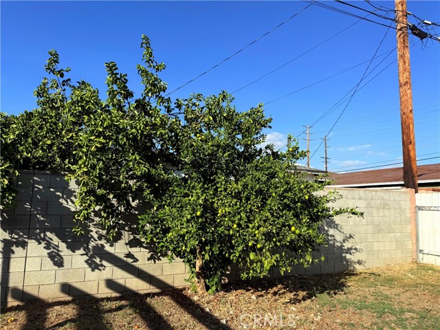 MLS #SW25243212 image #45