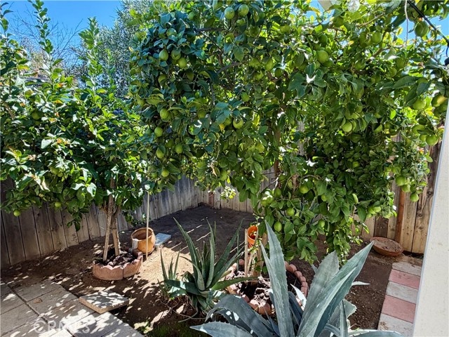 MLS #SW25243227 image #11