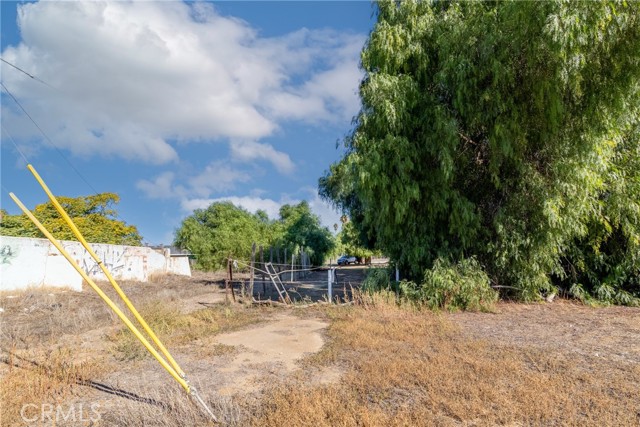 MLS #SW25243635 image #3